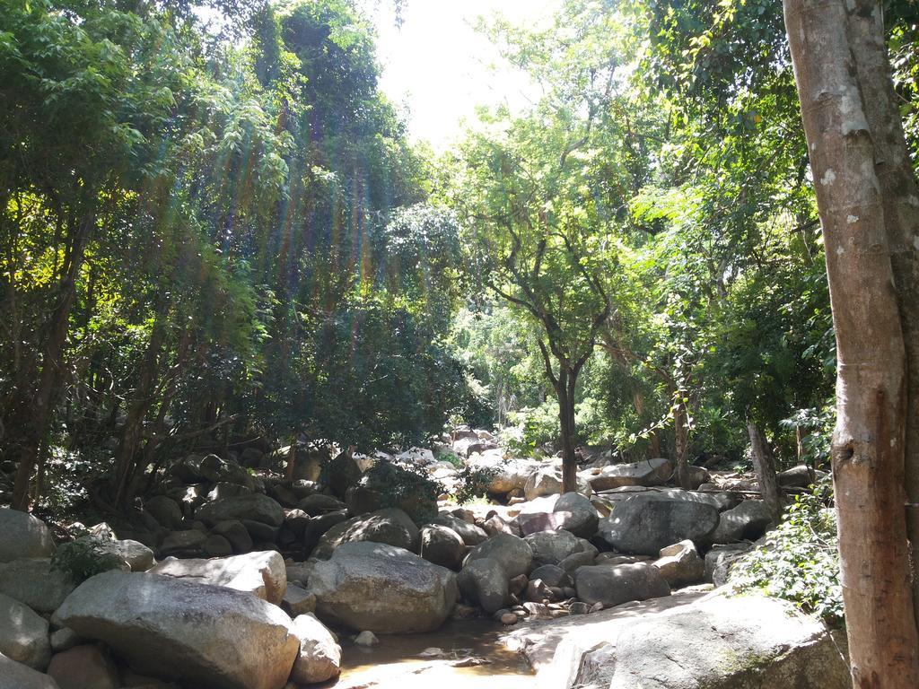 椰子海滩度假村 拉迈海滩 外观 照片